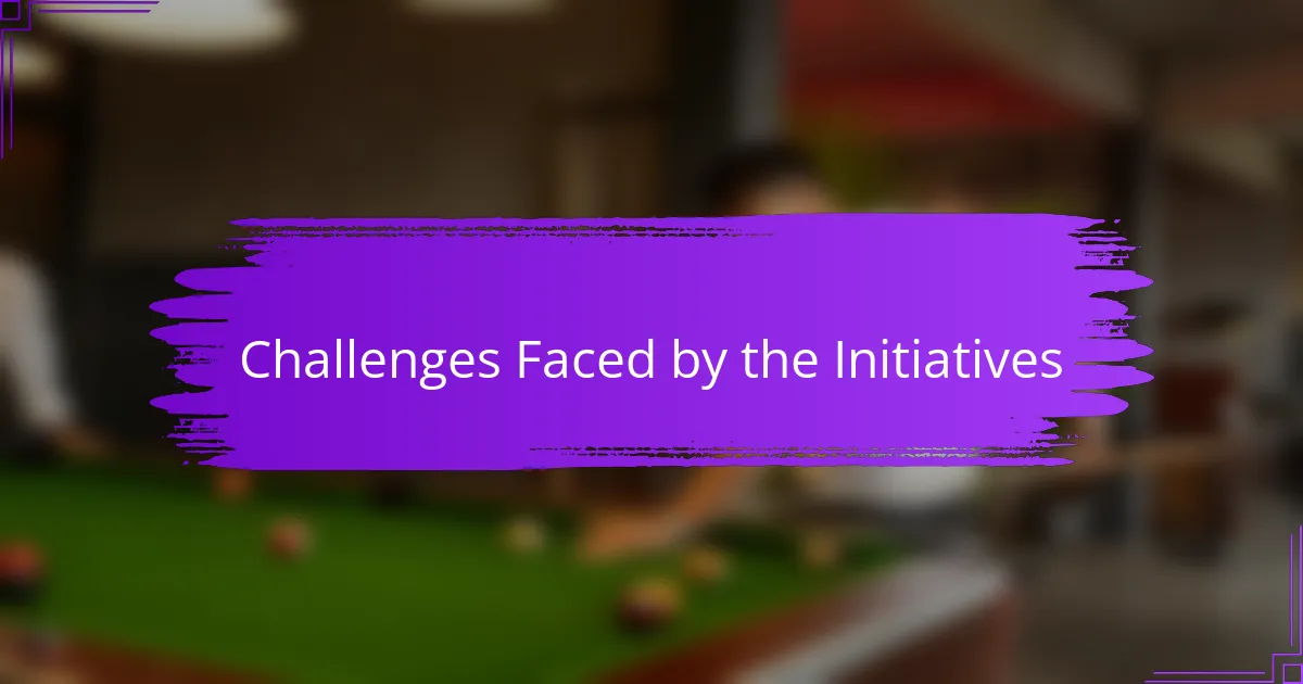 Challenges Faced by the Initiatives