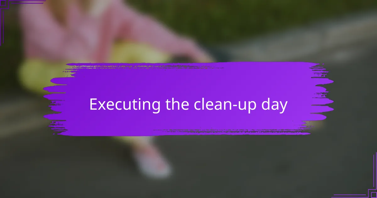 Executing the clean-up day