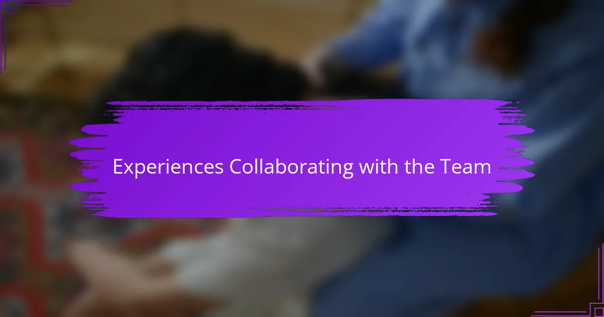 Experiences Collaborating with the Team
