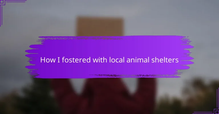 How I fostered with local animal shelters