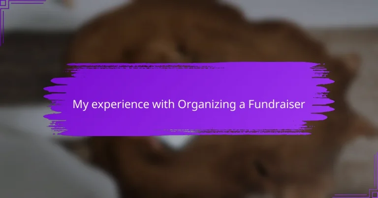 My experience with Organizing a Fundraiser