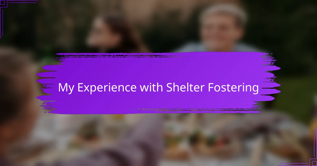 My Experience with Shelter Fostering