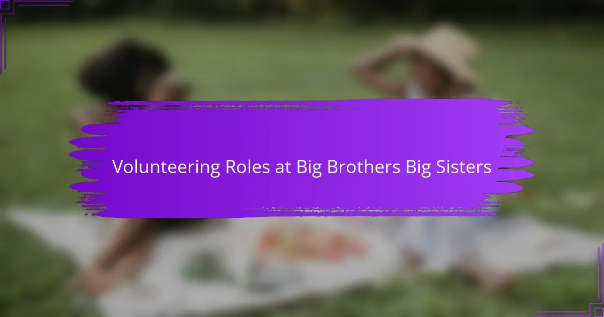 Volunteering Roles at Big Brothers Big Sisters